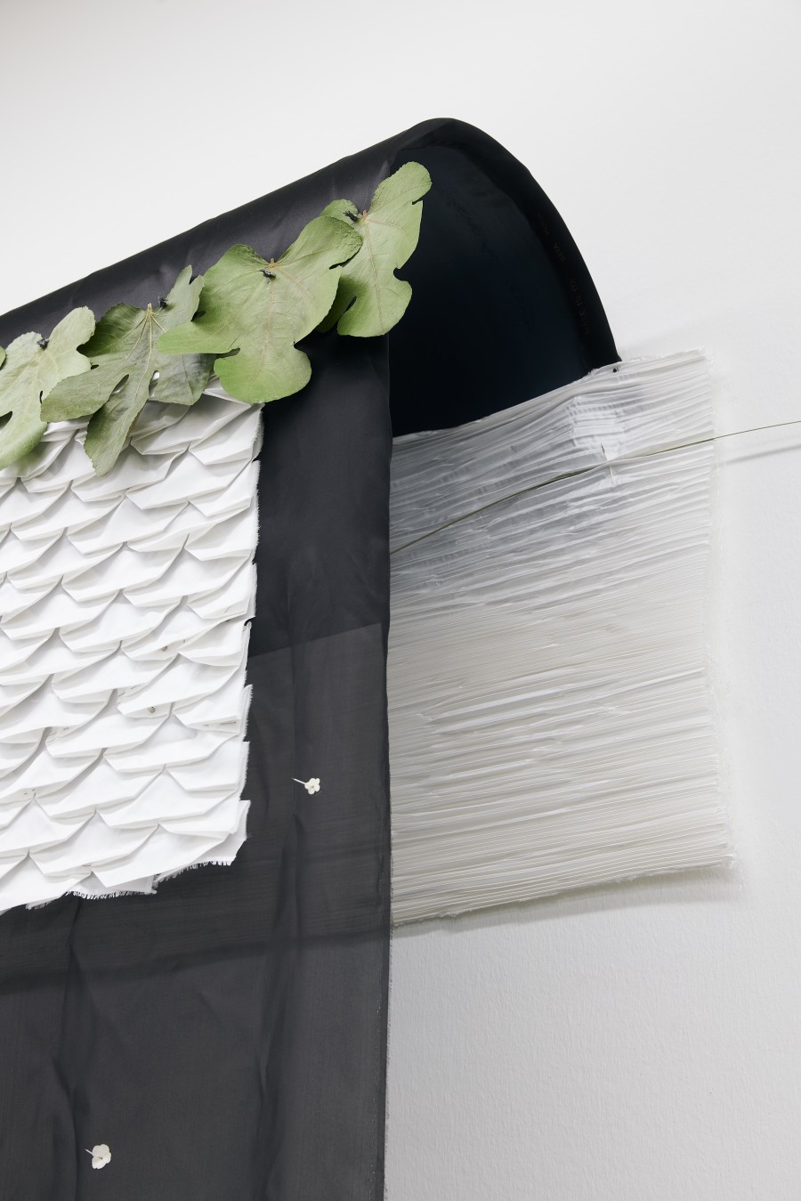 Maude Léonard-Contant, Cattails, 2023.