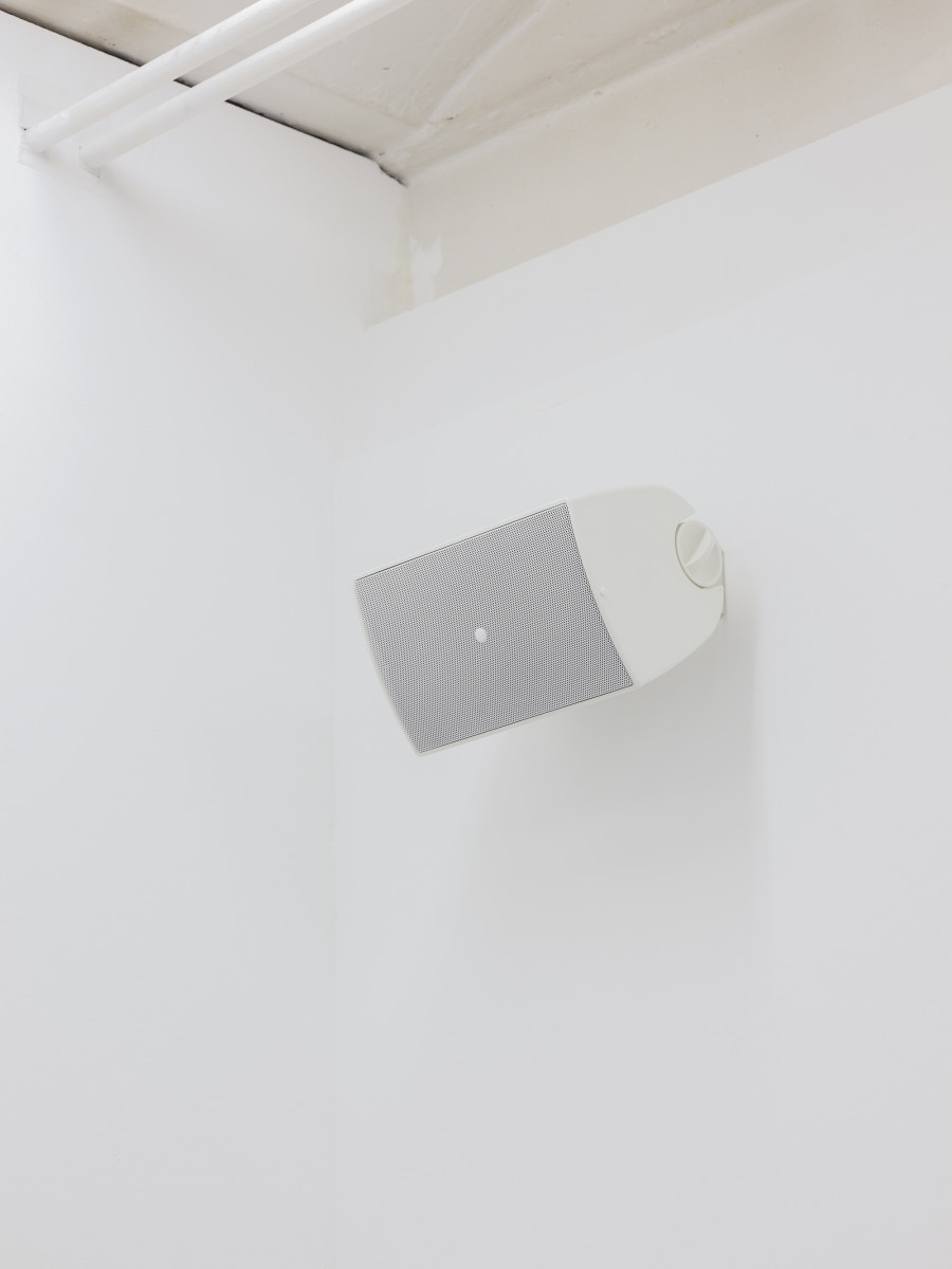Caroline Bourrit, Charge Fantôme, Installation view, 2022, CAN Centre d’Art Neuchâtel,
Photo: S. Verdon