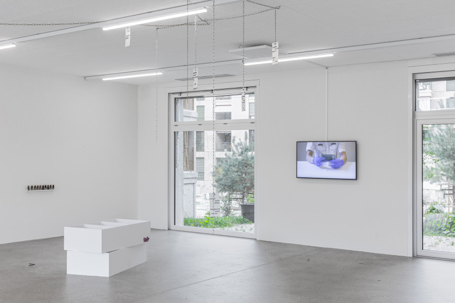 Exhibition View Group Show « All my loved ones like to fight » at CALM – Centre d’Art La Meute, Lausanne, 2023 / Photo: Théo Dufloo / Courtesy the artists and CALM – Centre d’Art La Meute