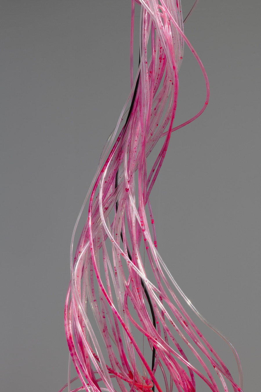 Yiming Yang, Splice, 2020, «Other Intelligences», 2025, HEK, photo: Franz Wamhof