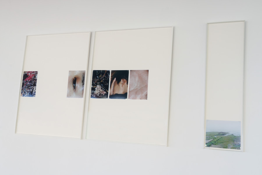 Exhibition view, Rebekka Deubner, tempête après tempête, 13 Vitrine, Lausanne, 2025.