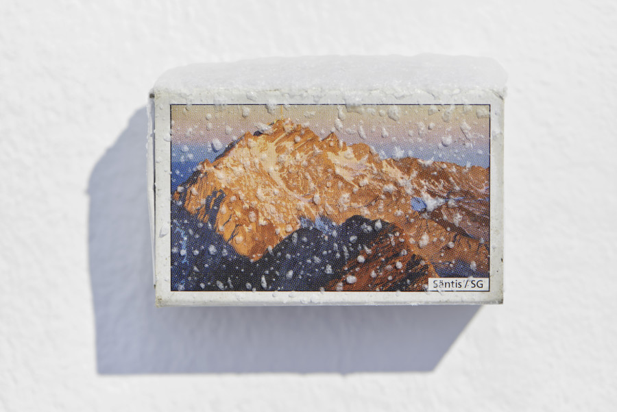Manuela Morales Délano, Säntis – SG, 2024, installation view, in: Regionale 25, A Private Smile, Kunsthalle Basel, 2024, photo: Philipp Hänger / Kunsthalle Basel