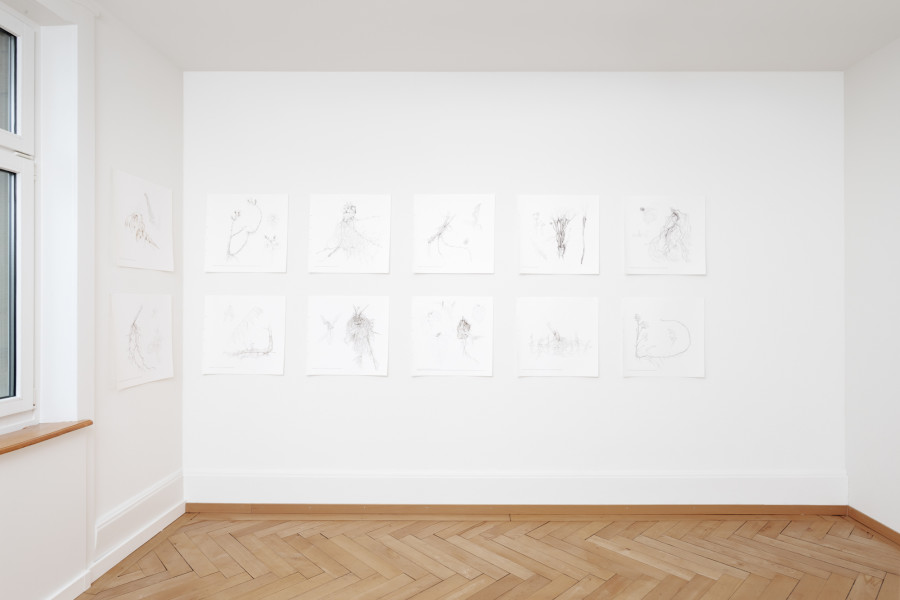 Exhibition view, Interwoven Existences, The Poetry of Nature, BELETAGE Art Space, 2025. Photo credit: Sebastian Stadler