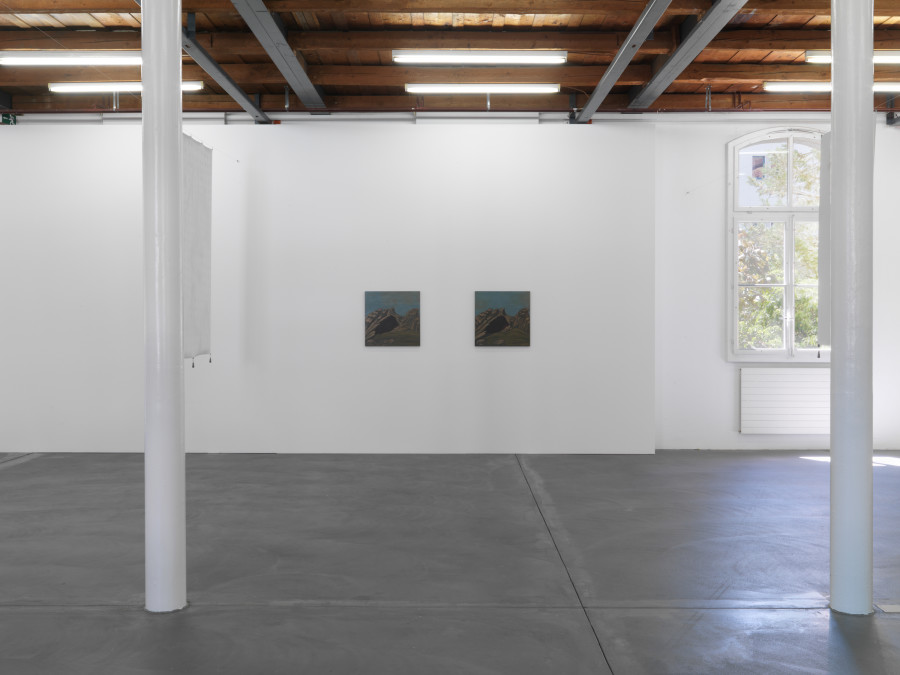 Installation view, Georgia Sagri, Case_L, Kunsthalle Friart Fribourg, 2022, Photo Stathis Mamalakis ©Georgia Sagri