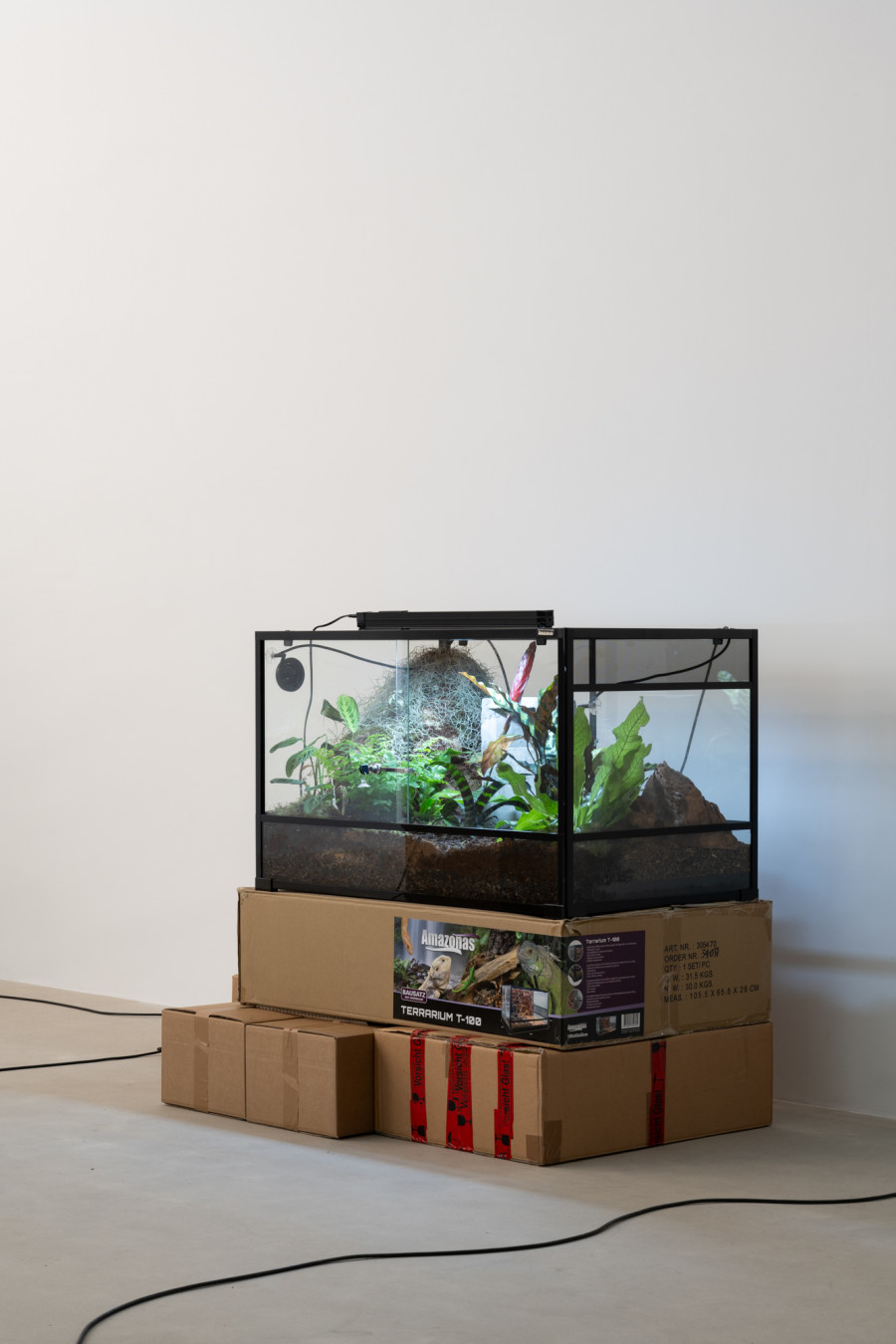 Leonardo Bürgi Tenorio, homescapes, 2025. Ausstellungsansicht / Installation view Kunsthaus Baselland 2025. Courtesy of the artist. Foto / Photo: Finn Curry