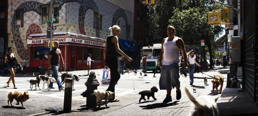 Peter Funch, Following Followers, from the series Babel Tales, 2006–2010 © Courtesy of Peter Funch and V1 Gallery