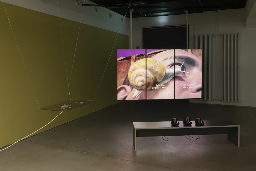 Rhona Mühlebach, I petrify und I Petrify, Coda, 2026, «Lukas Truniger, Isabell Bullerschen, Rhona Mühlebach – Swiss Media Art – Pax Art Awards 2025», 2026, HEK, photo: Franz Wamhof