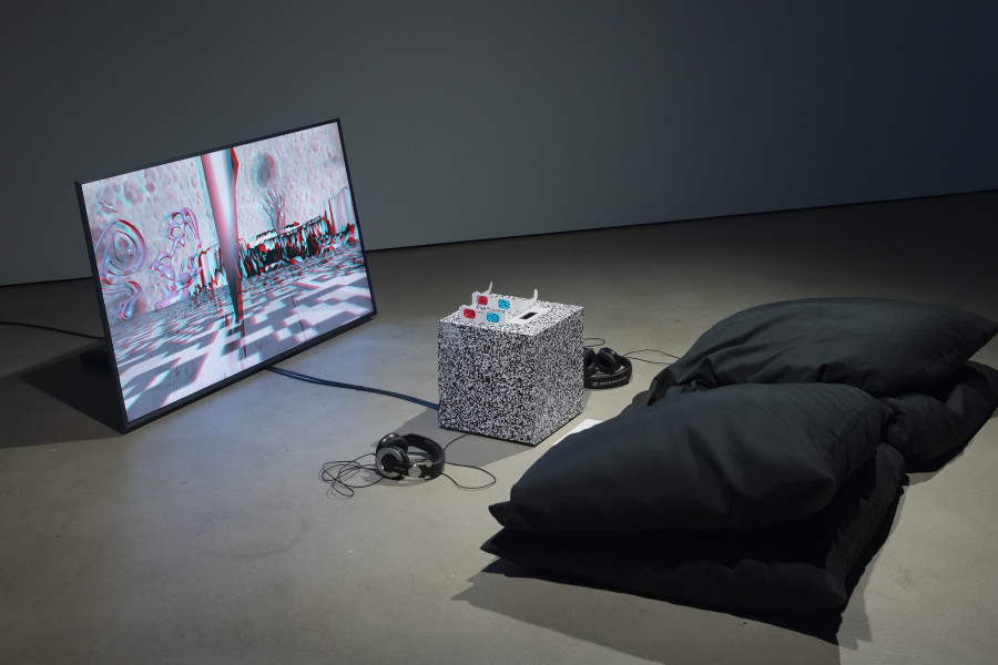 Michel Winterberg, Seeking Inwardly, 2017, «Regionale 25», 2024, HEK, photo: Franz Wamhof