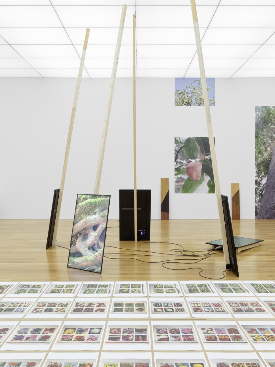 Exhibition view, Parliament of Plants II, Kunstmuseum Liechtenstein, Vaduz, 05.05.–22.10.2023, Photo: Stefan Altenburger Photography, Zürich.