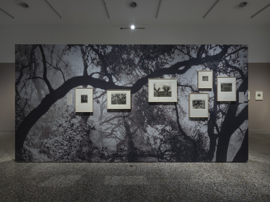 Guardians of Silence, Exhibition View, 2023, Musée Jenisch Vevey. © Musée Jenisch Vevey, photographie Julien Gremaud