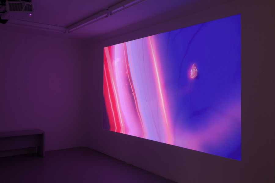 Exhibition view, Above A Cloud, Meriem Bennani, SALTS, 2024. Photo credit: Charles Benjamin