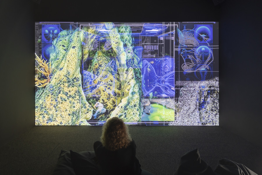 Joey Holder, Ambiogenesis, 2025, «Other Intelligences», 2025, HEK, photo: Franz Wamhof
