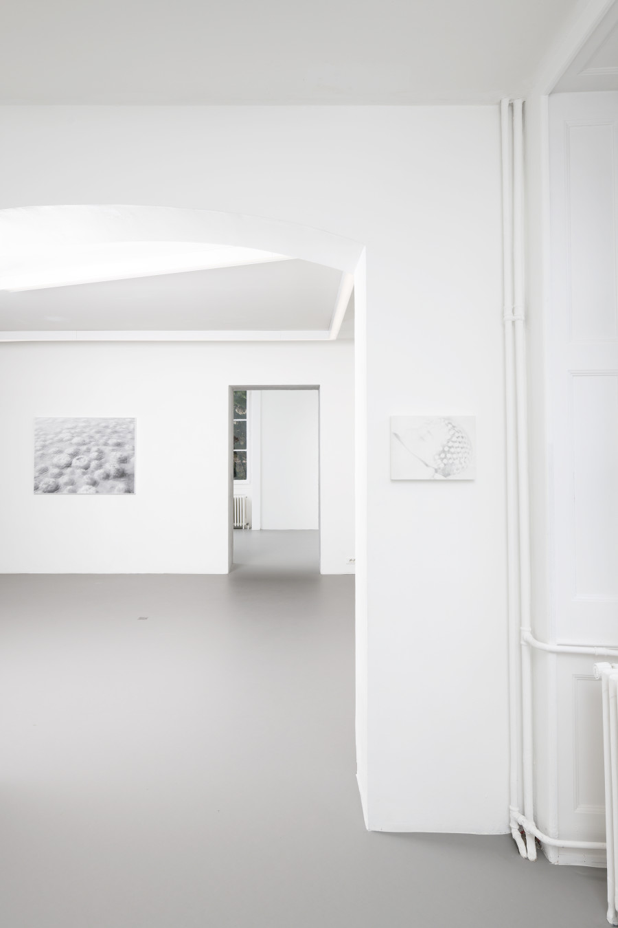 Exhibition view, Laurie Dall'Ava, Emerald Green Pigment, Villa du Parc, 2024. Photo credit: Aurélien Mole