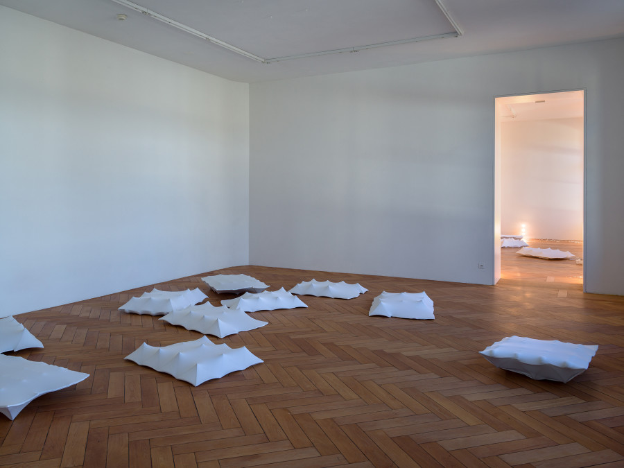 Nancy Lupo, Tom, installation view, Stadtgalerie Bern, 2026. Photo: Cedric Mussano