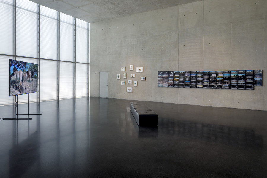 Anna Jermolaewa, Chernobyl Safari, 2014/23, Installation view ground floor Kunsthaus Bregenz, 2023. Photo: Markus Tretter. Courtesy of the artist. © Kunsthaus Bregenz, Anna Jermolaewa, Bildrecht, Wien, 2023
