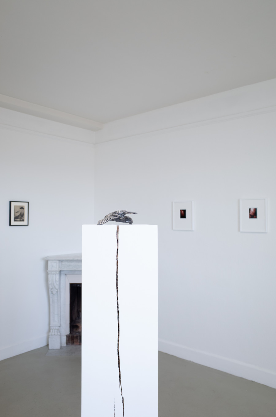 Iouri Podladtchikov & Elio Luxardo: You're Probably Right,Exhibition view, 2023, The Lighthouse, Photo credit: Iouri Podladtchikov.