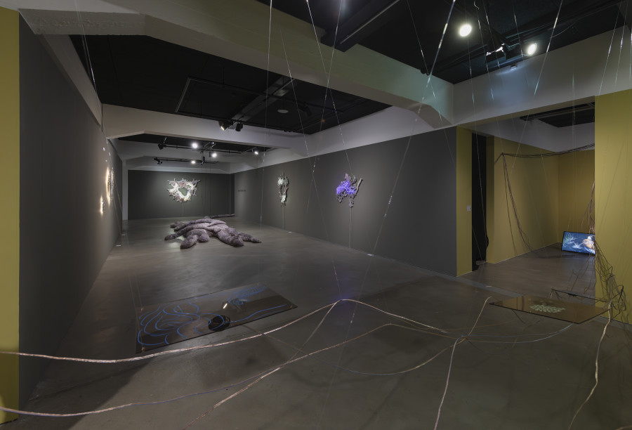 Exhibition View, «Lukas Truniger, Isabell Bullerschen, Rhona Mühlebach – Swiss Media Art – Pax Art Awards 2025», 2026, HEK, photo: Franz Wamhof