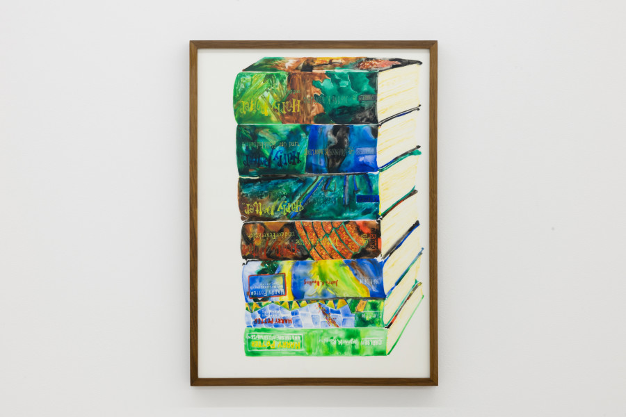 Lionne Saluz, Harry Potter, 2023, aquarelle on polyester film, 31 x 43 cm. Photography: Gina Folly / all images copyright and courtesy of the artist and For, Basel