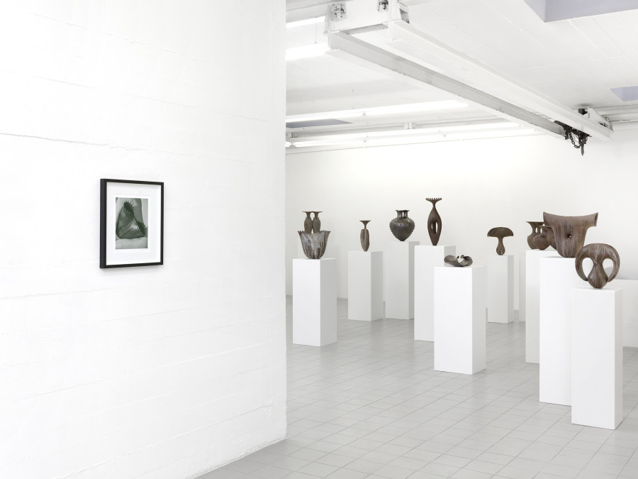 Han-Chiao: Echo, 2023, Courtesy : the artist and Sébastien Bertrand, Geneva, exhibition views : Annik Wetter