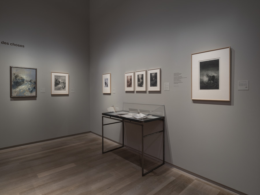 Exhibition view, Pietro Sarto, Chemins détournés, Musée Jenisch Vevey, 2022. Photo credit: © Photo Julien Gremaud