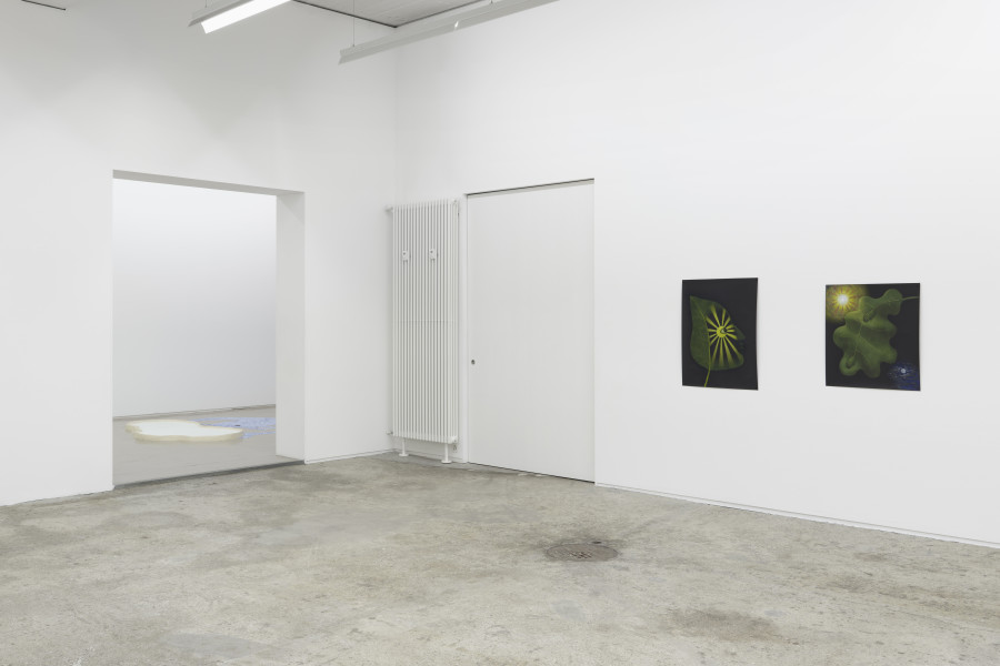 Exhibition view, Sabian Baumann, Nature (presque) morte, Galerie Mark Müller, Zürich, 2025. Photo credit: Conradin Frei & Galerie Mark Müller, Zürich.