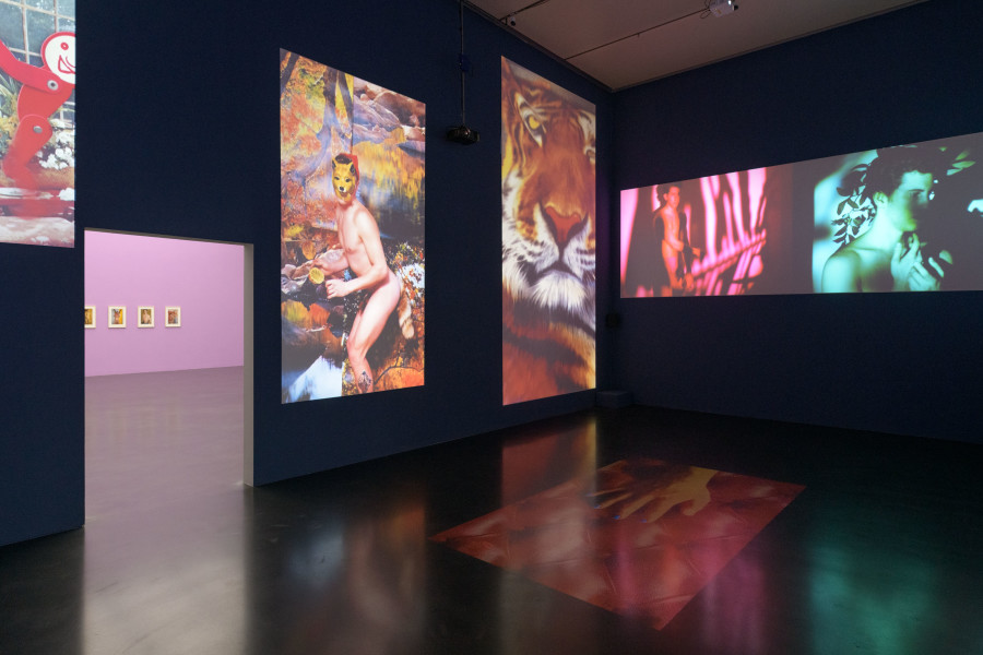 Walter Pfeiffer, Bei dir war es immer so schön, 2023 Videoinstallation, Ausstellungsansicht Sincerely, Walter Pfeiffer, Kunstmuseum Luzern, 2023, Foto: Marc Latzel, © 2023 ProLitteris, Zürich