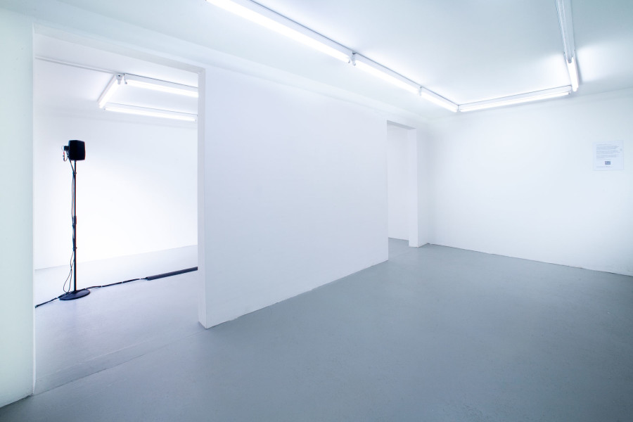 Exhibition view, Gaza Fish, Mohamed Harb, SALTS, 2024. Photo credit: Charles Benjamin