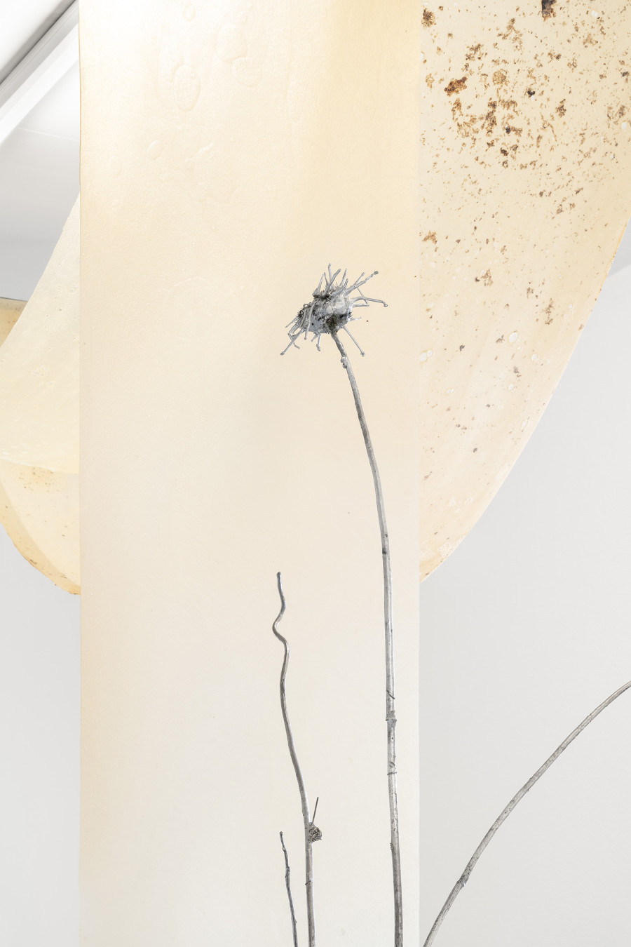 Detail of Lucia Cristiani, Single Stem, 2023. Galvanised silver thistles, iron, 220x72x40cm, 200x72x60cm. Detail of Lucia Cristiani, Dense, 2025. bioplastics, Sargassum seaweed, iron, variable dimensions. Ph by Riccardo Giancola. Images courtesy of artists and La Rada, Photography by Riccardo Giancola (@riccardo_giancola) and Emanuele Finardi (@e.m.hey)