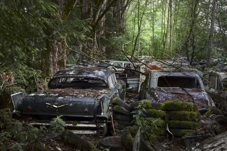 Vintage car bumpers in the Franz Messerli auto-graveyard in Kaufdorf, Bern, 2009 Erik and Petra Hesmerg and More Gallery Courtesy Fairweather & Fairweather LTD and More Gallery