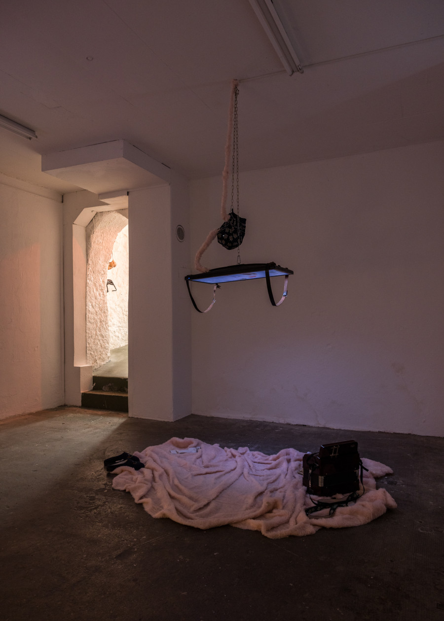Alizée Quinche, Valse triste, 2024 / Photo : Julie Folly / Courtesy : the artist and WallStreet