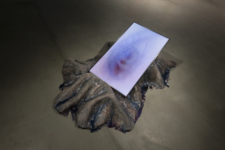 Exhibition view «Libby Heaney: Quantum Soup», 2024, HEK, photo: Franz Wamhof