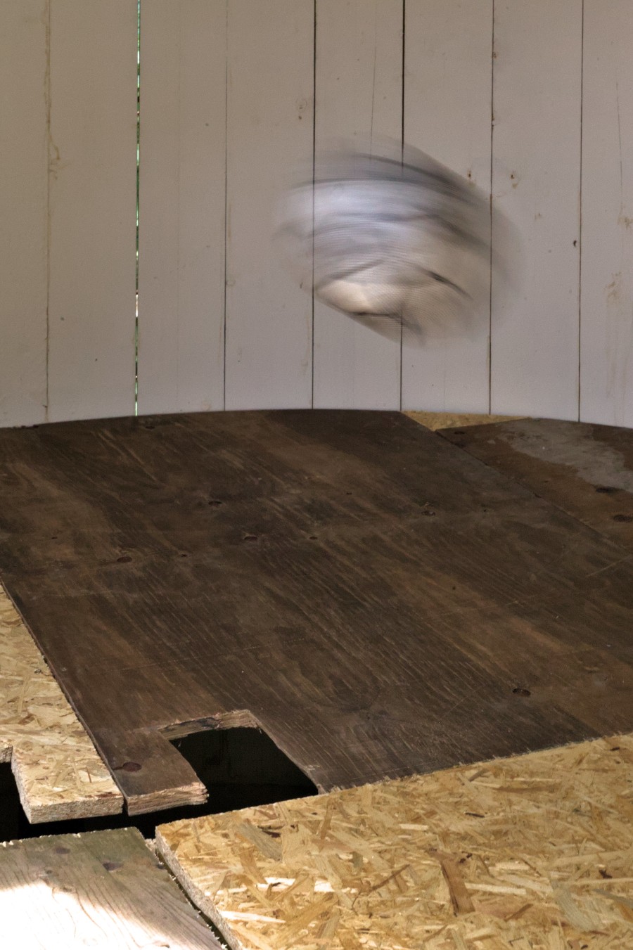 Exhibition view, R. Sebastian Schachinger, Der sichere Steinwurf lernt sich das durch das Ballspiel, SALTS, 2024. Photo credit: R. Sebastian Schachinger