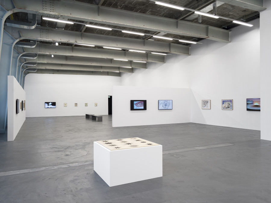 Vijay Masharani, Big Casino, Kunsthalle Zürich, 2025. Bild / Image: Cedric Mussano