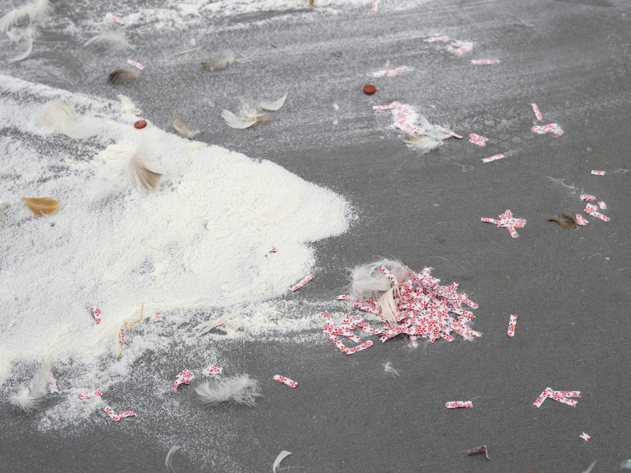 Jason Dodge, detail view, Kunsthalle Friart Fribourg, 2026. Photo: Cedric Mussano