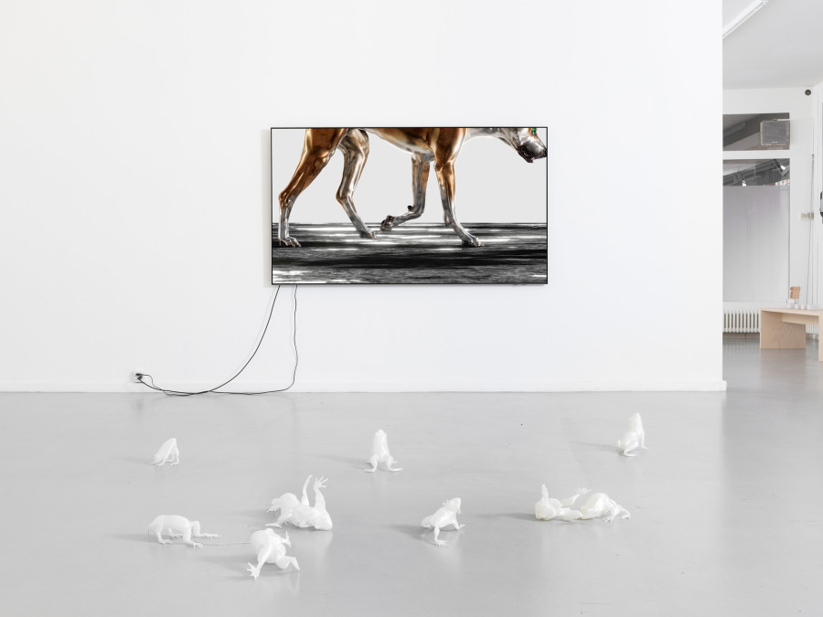 View of the exhibition Caroline Schattling Villeval, Carences et toute-puissance, CEC, 2024 Exhibition from January 19 to March 1, 2024. Courtesy Centre d’édition contemporaine, Geneva. Photo : © Sandra Pointet