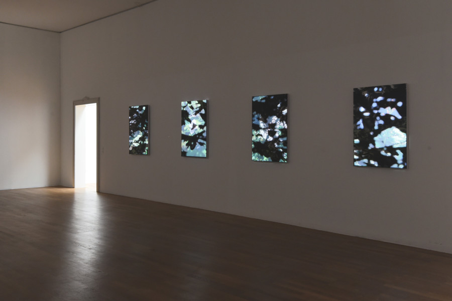 Timur Si-Qin, Sharaan Sunbreak East, 2023 (detail). Courtesy Timur Si-Qin and Société, Berlin