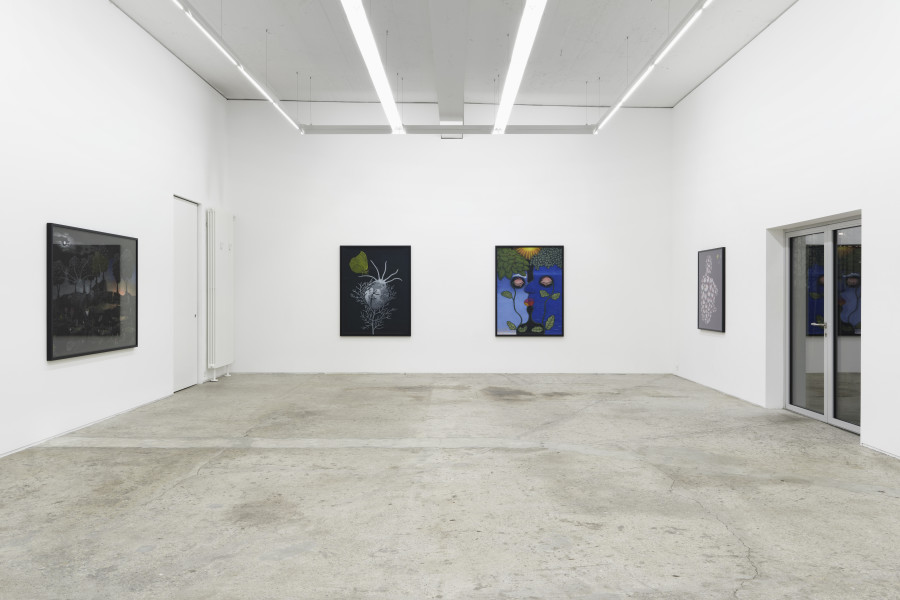 Exhibition view, Sabian Baumann, Nature (presque) morte, Galerie Mark Müller, Zürich, 2025. Photo credit: Conradin Frei & Galerie Mark Müller, Zürich.