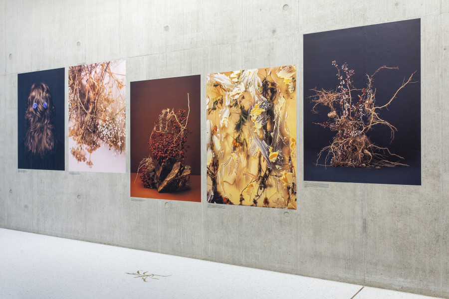 Installation view, Ann Shelton, I am an old phenomenon, Centre de la photographie Genève, 2025. Photo credit: Aline Bovard Rudaz