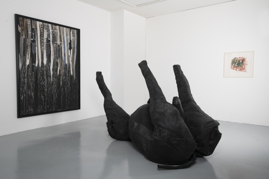 Installation view, INTO THE WILD, Wilde, 2022. Photo: Grég Clement