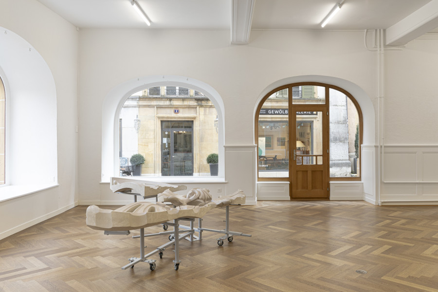 Installation view, FIRST IMPRESSIONS, KRONE COURONNE, 2024. Photo credit: © Michal Florence Schorro