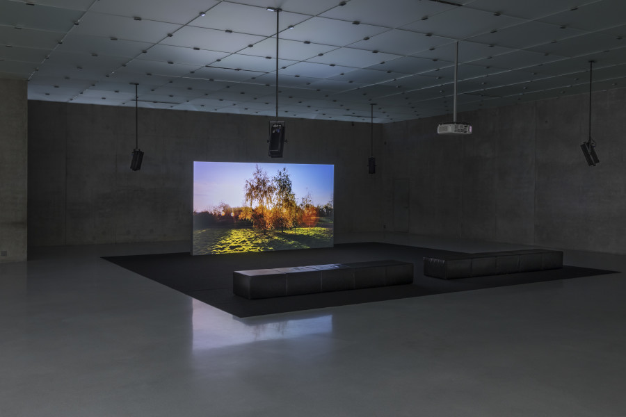 Unprecedented Times Installation view first floor, Kunsthaus Bregenz, 2020 Marianna Simnett Tito's Dog, 2020 Courtesy of the artist Photo: Markus Tretter (c) Kunsthaus Bregenz