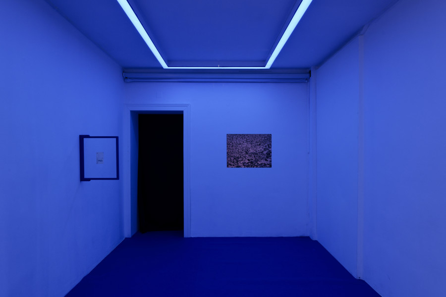 Exhibition view, Florent Meng Lechevallier, The Analogue Tracks, Villa du Parc, 2024. Photo credit: Aurélien Mole