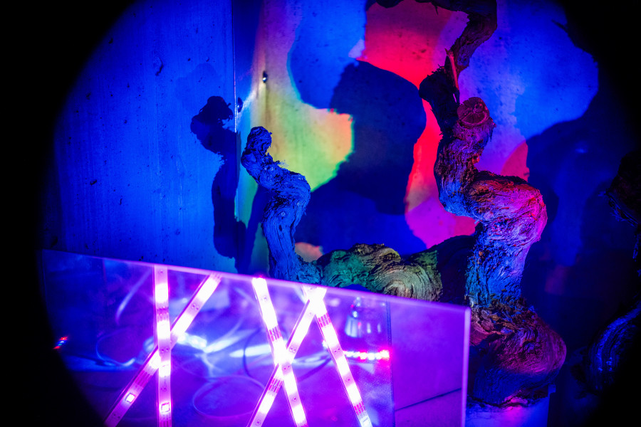 Installation view, Richard Jean, Trous Noirs, Lemme, 2023-2024. Photo credit: Romain Iannone