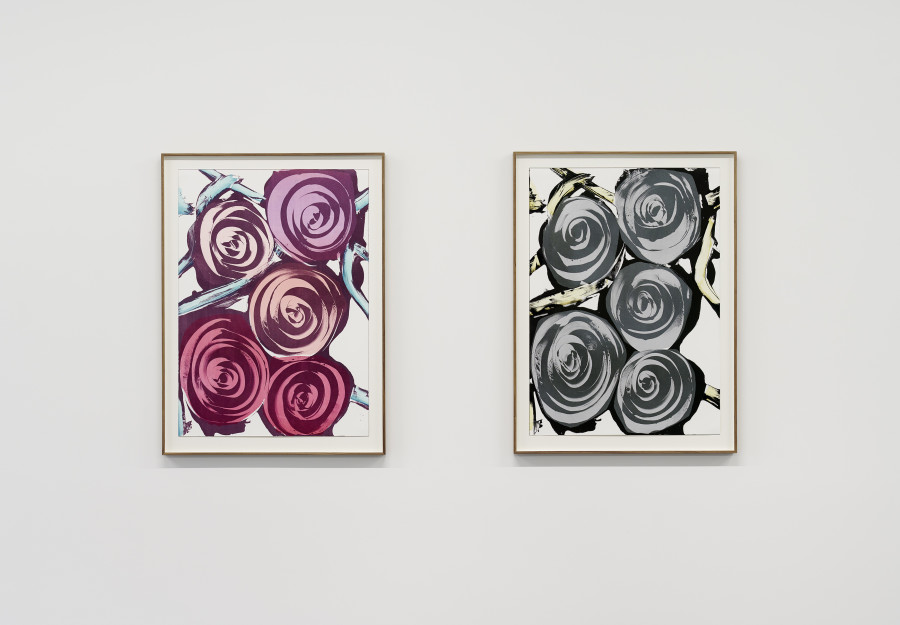 Installation view, Gardens of Dreams, Edition VFO, 2025. Photography by Bernhard Strauss