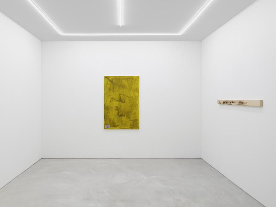 Installation view, Elegiac, Sarah Brahim, David Lindsay and Sophie Reinhold. Galerie Philippzollinger, 2024.