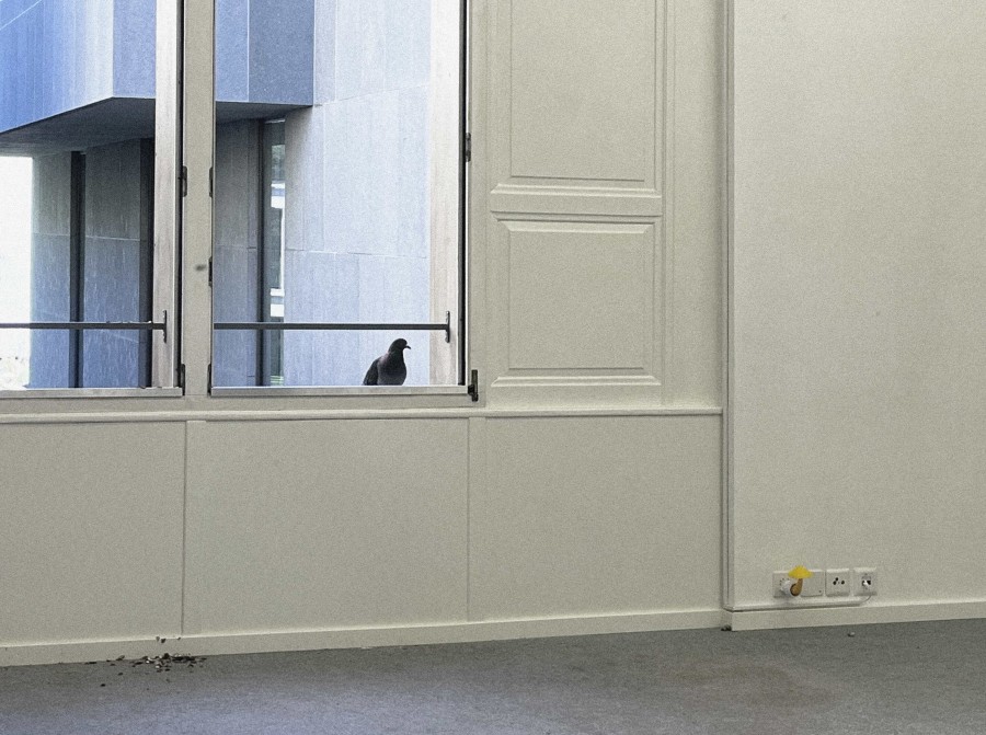 La Dépendance — «Le Fond de l’Air», Ausstellungsansicht / vue d’exposition / exhibition view Kunsthaus Biel Centre d’art Bienne 2026. Courtesy of Le Fond de l’Air and all pictures by Le Fond de l’Air