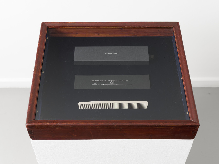 View of the exhibition John Armleder, ENCORE TROP, CEC, 2024. Exhibition from March 15 to May 3, 2024. Courtesy Centre d’édition contemporaine, Geneva. Photo : © Sandra Pointet