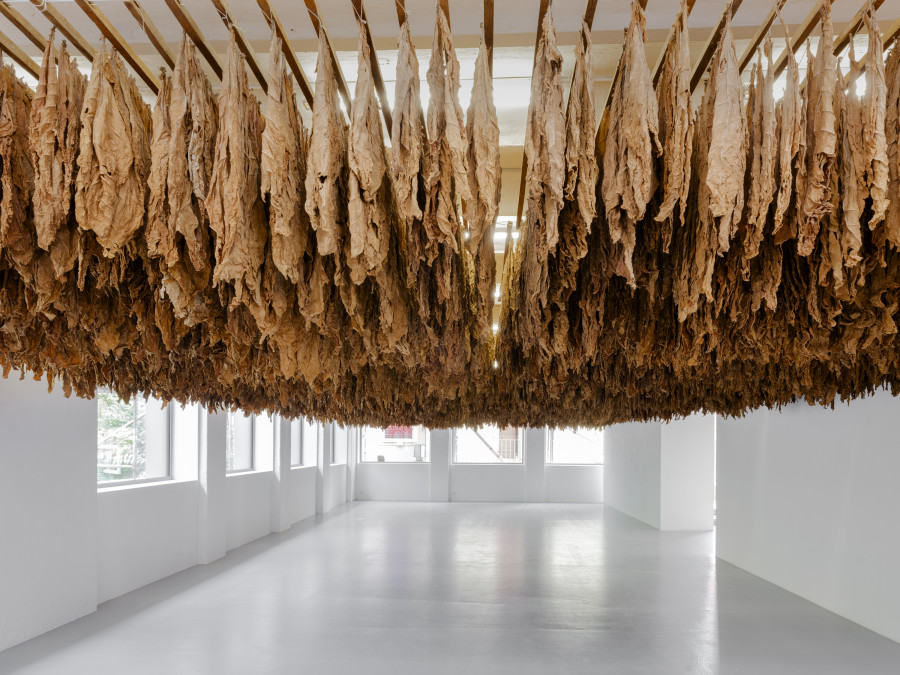 Ximena Garrido-Lecca, Reverse Engineering, Installation view, 2023, CAN Centre d’Art Neuchâtel.
Photo credit: Sebastian Verdon