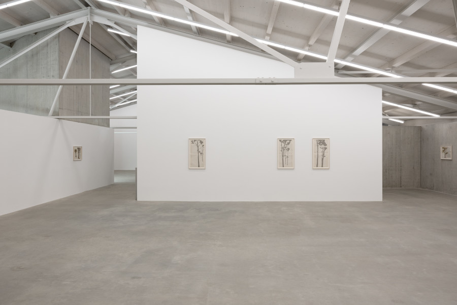 Johanna Calle, Erial 1-3, 2024. Courtesy of the artist and Galerie Krinzinger, Wien. Ausstellungsansicht / Installation view Kunsthaus Baselland 2025. Foto / Photo: Gina Folly