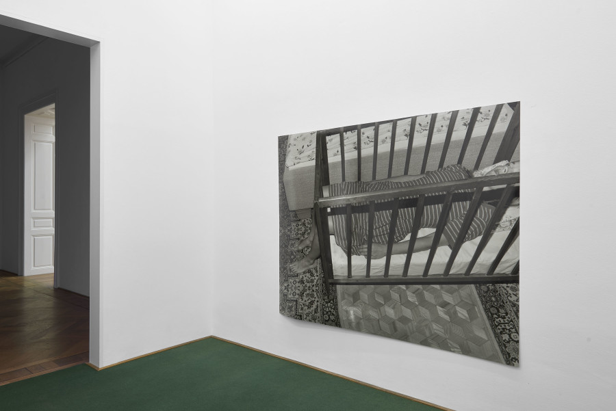 Joanna Piotrowska, installation view, Stable Vices, Kunsthalle Basel, 2019, view on, Untitled, 2019. Photo: Philipp Hänger / Kunsthalle Basel